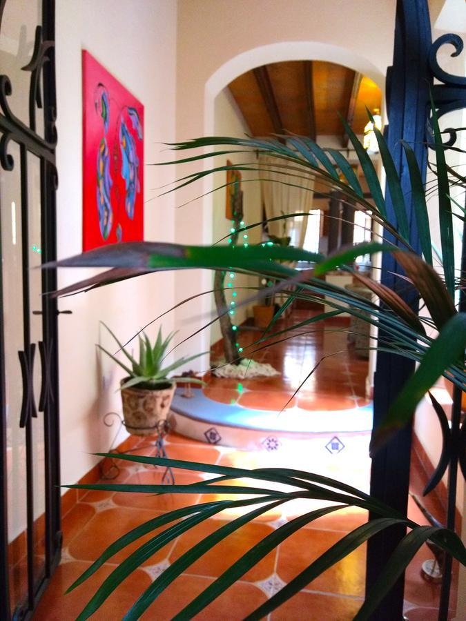 Posada Del Pozo ซานมิเกล เด อาเญนเด ภายนอก รูปภาพ