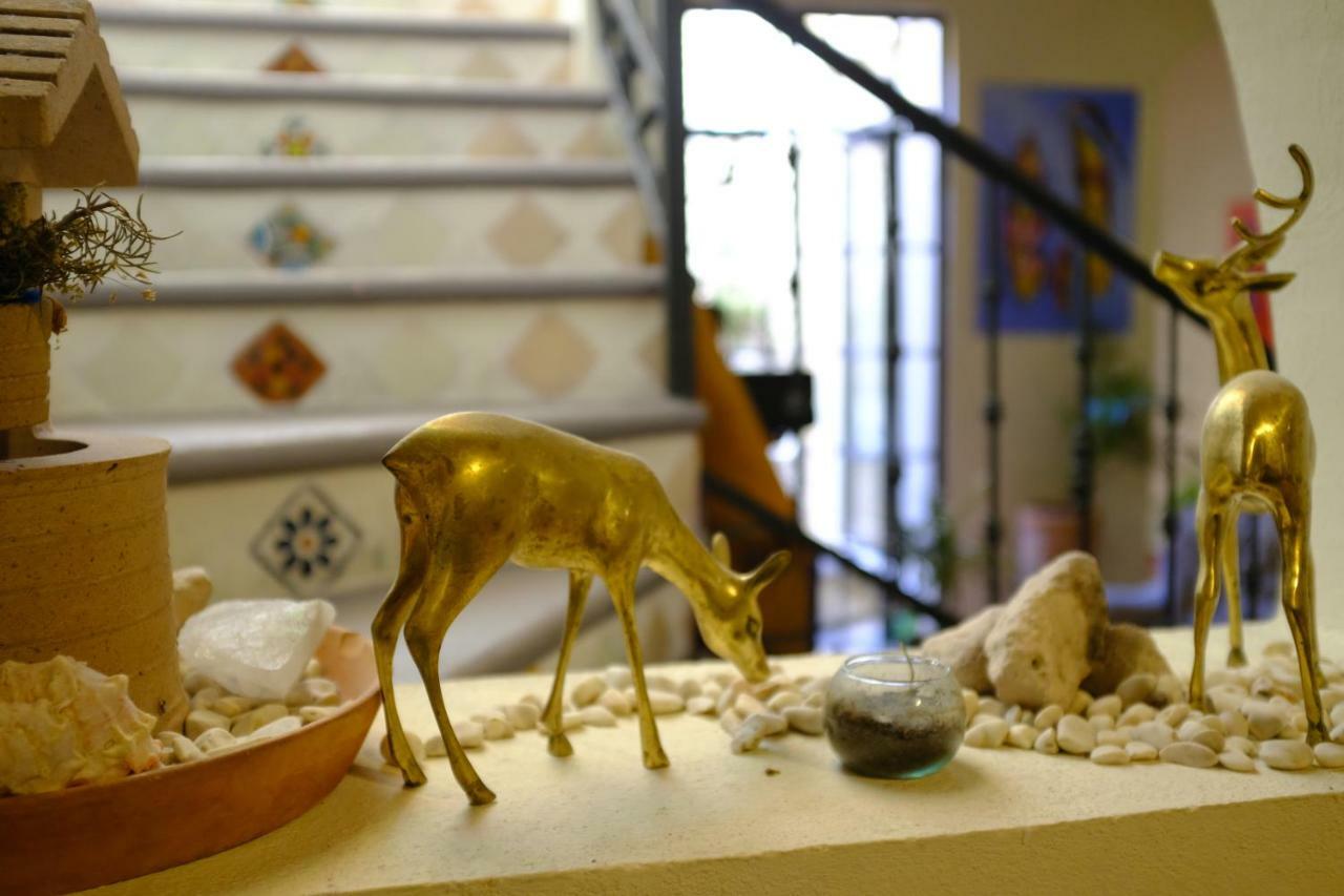 Posada Del Pozo ซานมิเกล เด อาเญนเด ภายนอก รูปภาพ