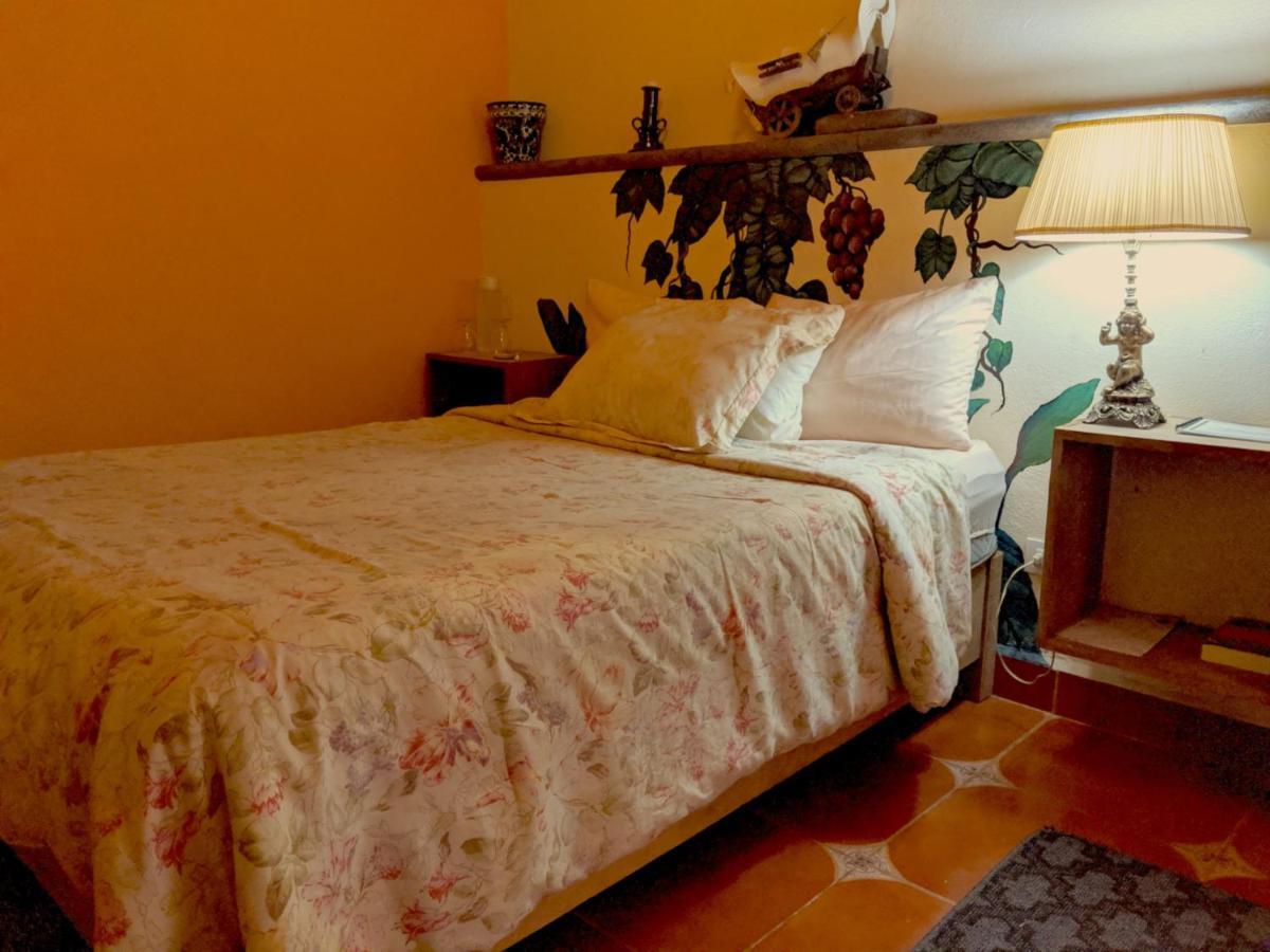 Posada Del Pozo ซานมิเกล เด อาเญนเด ภายนอก รูปภาพ